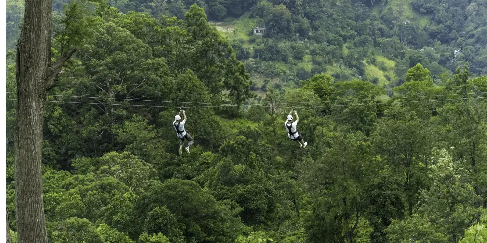 Dois homens praticando tirolesa em um lugar com muitas árvores, parecendo uma floresta. Elas são branco e vestem camisetas brancas, capacetes brancos , um está de calça cinza e o outro uma bermuda preta.
