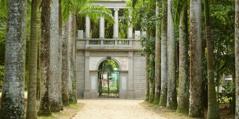 Imagem do portão principal do Jardim Botânico, com um corredor de palmeiras.
