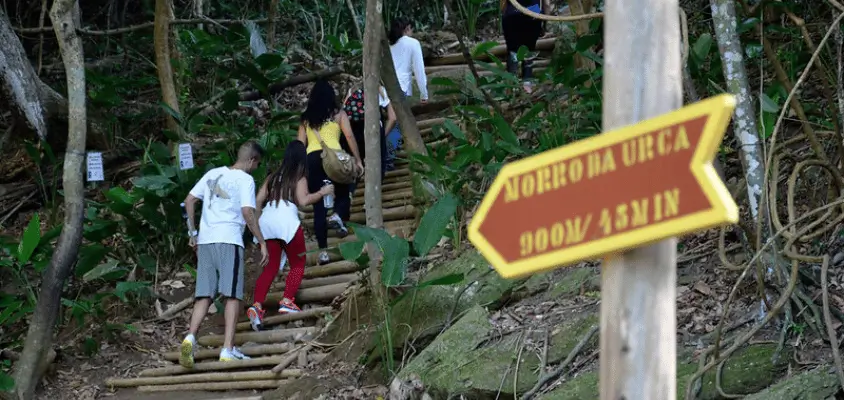 Pessoas subindo pelas escadaria da floresta da Tijuca